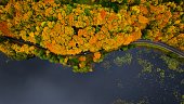 Aerial drone shot of the serene autumn atmosphere in Poczynska Switzerland, Poland. The photo captures a road running along the edge of a lake, tranquil waters, and the vibrant fall foliage.