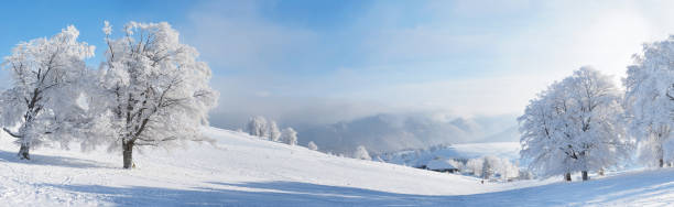 istock Forest Landscape with trees covered in snow and ice on a Hill in Winter - Panorama 1783432420