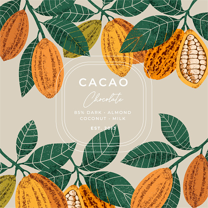 Chocolate bean textured frame illustration. Vintage style design template. Cacao bean.