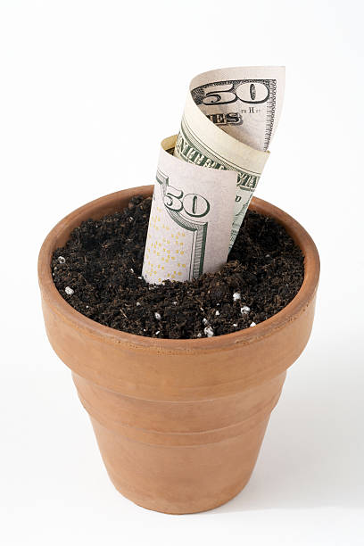 Growing Money stock photo