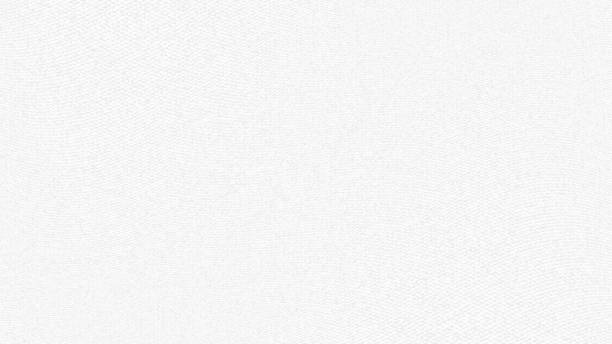 White paper texture background. Vector illustration White paper texture background. Vector illustration. Eps10 white color stock illustrations