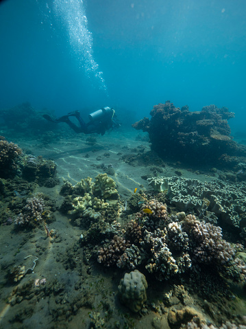 Scuba diver observes turquoise depths of tropical ocean