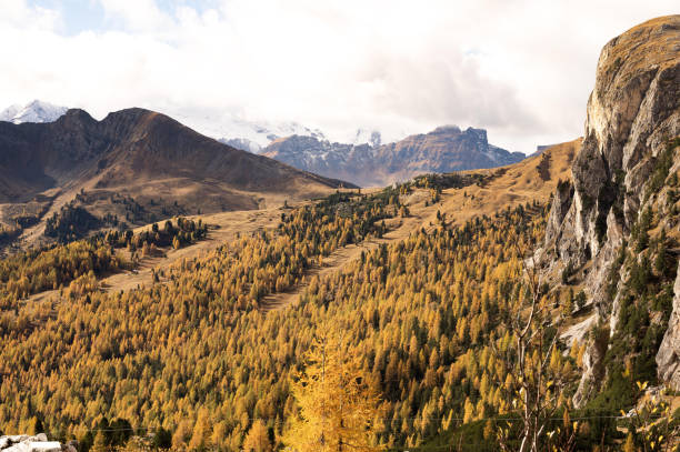 istock Autumn in the Dolomites 1783493673