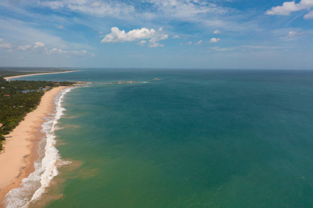 istock Seascape with tropical sandy beach and blue ocean. Sri Lanka. 1783498646