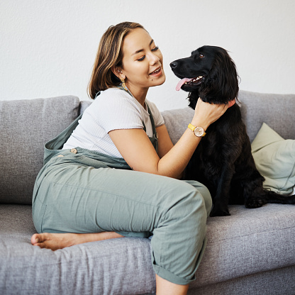 Happy, love and woman with dog in home sofa to relax and play with animal. Pet owner, care and asian person on floor with companion, smile and wellness or friendship and together in cozy apartment