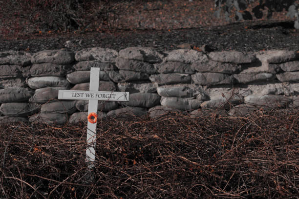 Red Poppy on Cross with Desturated Background