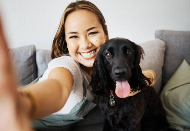 selfie, amor e mulher com cachorro no sofá de casa para relaxar e brincar com animal. dono de animal de estimação, cuidador e influenciador de pessoa asiática com companheiro, sorriso e amizade ou foto de perfil de mídia social e memória - dog multi ethnic group people one person - fotografias e filmes do acervo