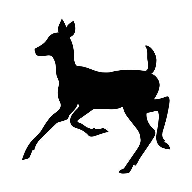 Silhouette of a small deer on a white background, vector illustration. Silhouette of a small deer on a white background, vector illustration doe deer silhouette stock illustrations