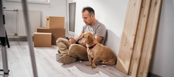 istock moving to a new apartment with a pet 1783529974