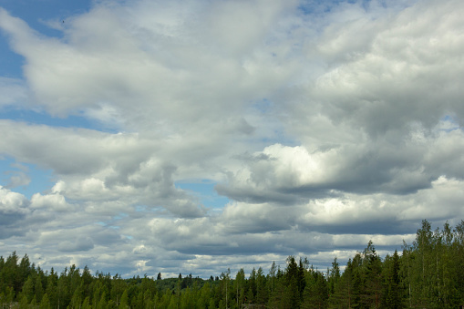 Clouds in the sky over the forest