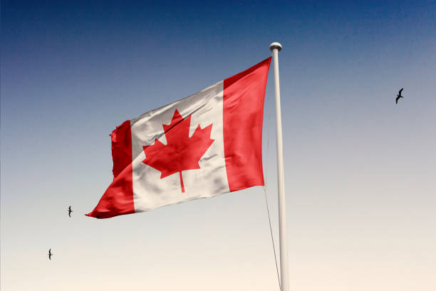istock Canada flag fluttering in the wind on sky. 1783538083