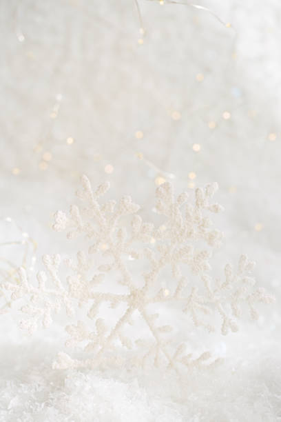 Christmas white snowflake on a white snow. Blurred background with beautiful bokeh. Shallow depth of field