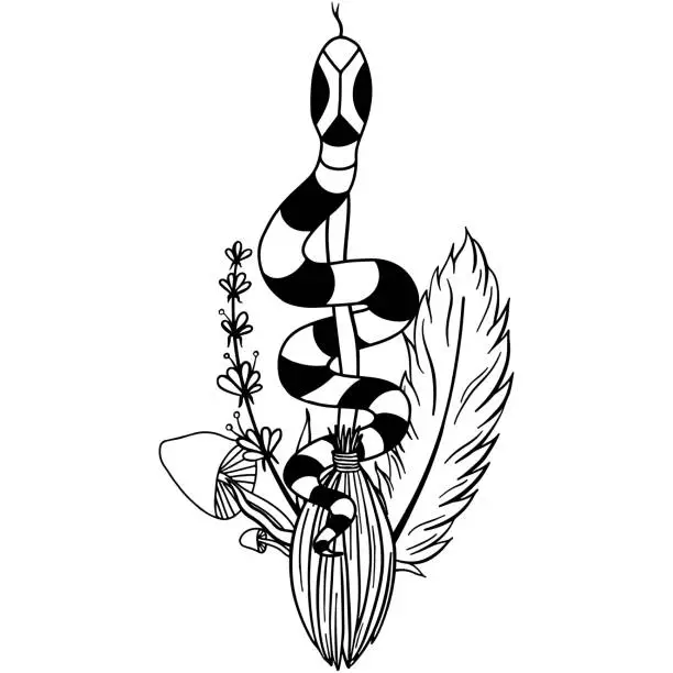 Vector illustration of Hand drawn magical composition with a snake on a broom, magical herbs, mushrooms and a feather