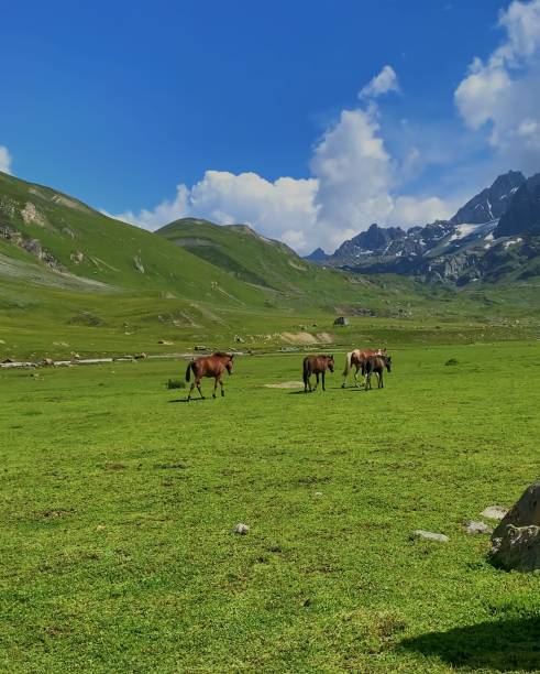 istock Majestic Vistas 1783557502