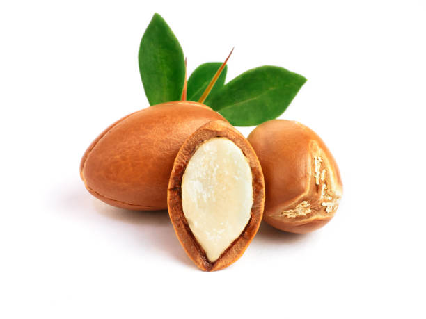 istock Argan nuts with green leaves on isolated white background. Moroccan Argania Spinosa seeds for the production of oil 1783567113