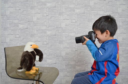 Boy taking a photo of his stuffed eagle with a camera in a studio