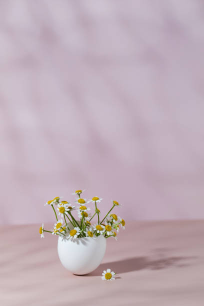 istock Spring and Easter concept, A bouquet of daisies in an eggshell on a pink background with shadows. 1783576042