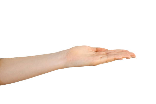 istock A woman's hand isolated on a white background with her palm up. 1783578197