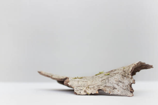 istock empty bark of tree podium minimalism on grey background. Copy space, place for text 1783578356