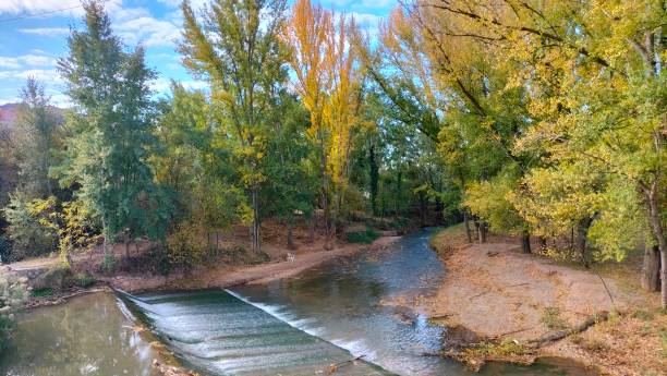 istock beautiful view of the river in the forest 1783580471