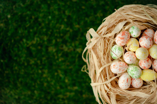 Easter background with colorful yellow, pink, blue Easter eggs in woven basket and green grass. Top view with copy space. Easter holidays banner and header.