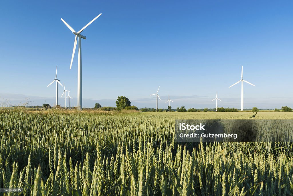 Wind Farm in North Deutschland - Lizenzfrei Windrad-Spielzeug Stock-Foto