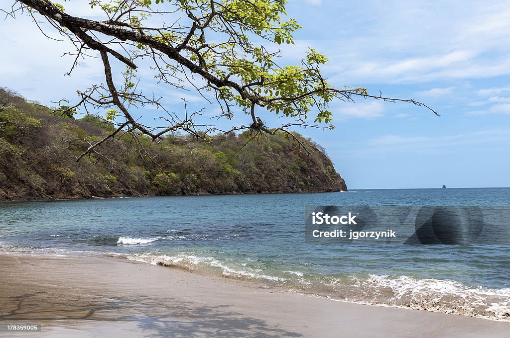 Küste Costa Rica - Lizenzfrei Ast - Pflanzenbestandteil Stock-Foto