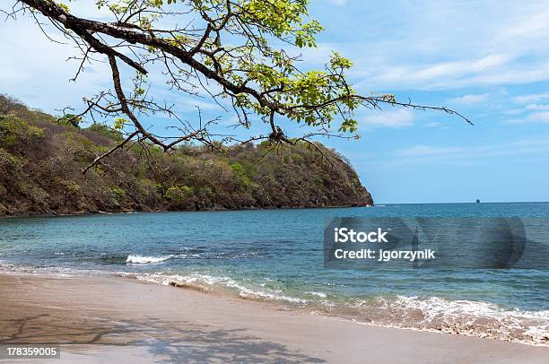 Küste Costa Rica Stockfoto und mehr Bilder von Ast - Pflanzenbestandteil - Ast - Pflanzenbestandteil, Baum, Blau