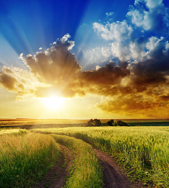 istock good sunset over rural road 178359552