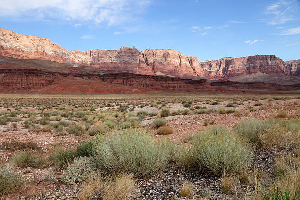 Desert landscape stock photo
