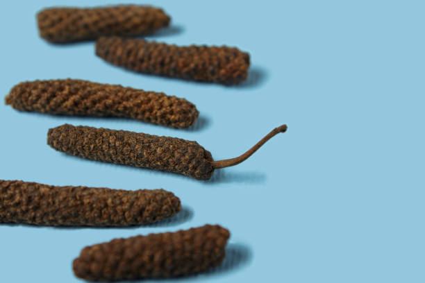 Dry Indian long pepper . Piper Longum ,Piper retrofractum, Pippali, Long pepper. Pattern texture background. Top view. Dry Indian long pepper . Piper Longum ,Piper retrofractum, Pippali, Long pepper. Pattern texture background. Top view. capsicum annuum longum stock pictures, royalty-free photos & images