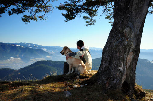 young man sitting under a tree with his dog enjoying a tranquil mountain view