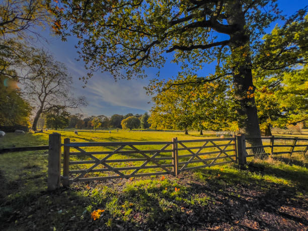 istock walking footpath autumn fall nature outdoors landscape environment beautiful 1783610784