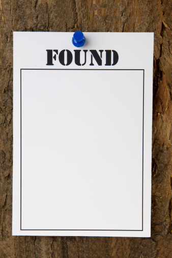 Found notice pinned to a tree stump - with copy space