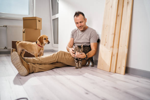 istock moving to a new apartment with a pets 1783612658