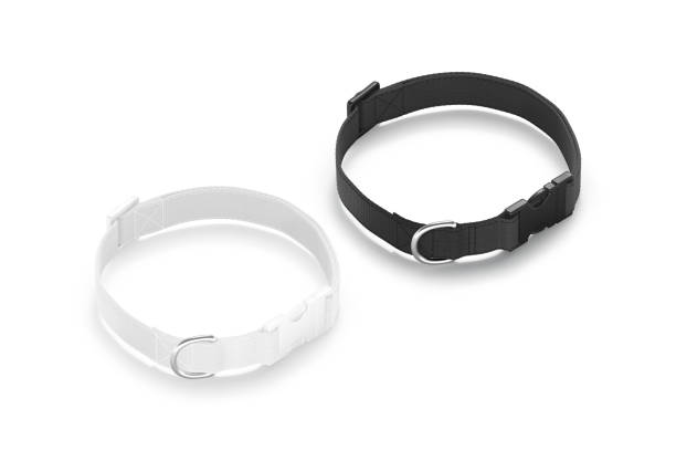 istock Blank black and white dog collar with plastic buckle mockup 1783612667