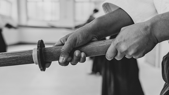 People practicing aikido in a dojo background.