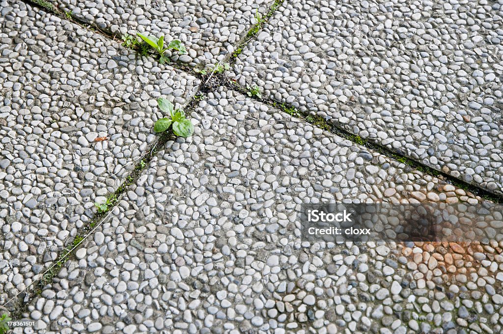 Algodoncillo persistencia - Foto de stock de Abstracto libre de derechos