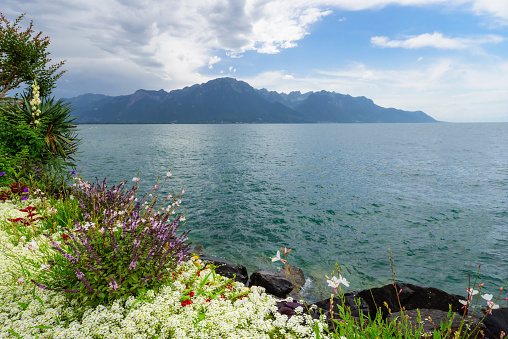 The flower quay in Montreux, Switzerland. Lake Geneva overlooking the Alps.