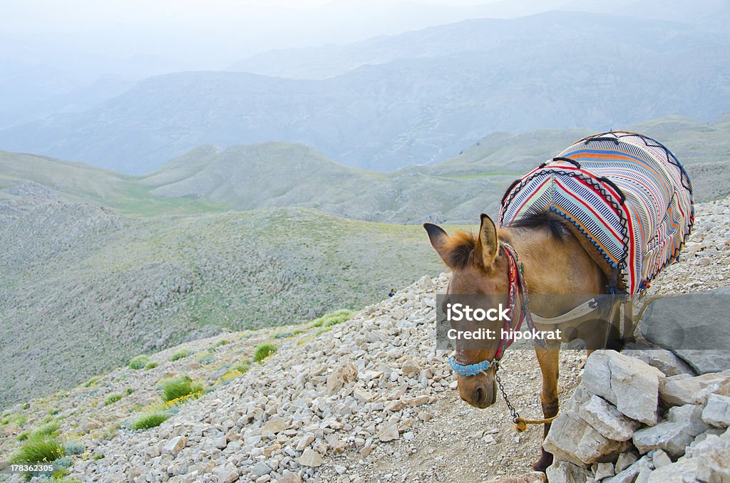 "Esel taxi, Mount Nemrut in der Türkei," - Lizenzfrei Anatolien Stock-Foto