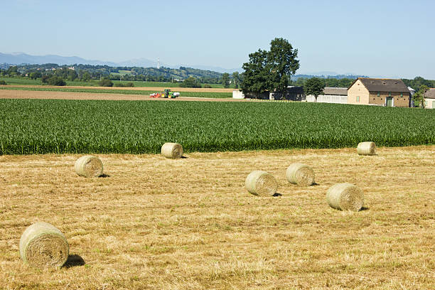 istock hay bale on summer farming stubble field 178362539