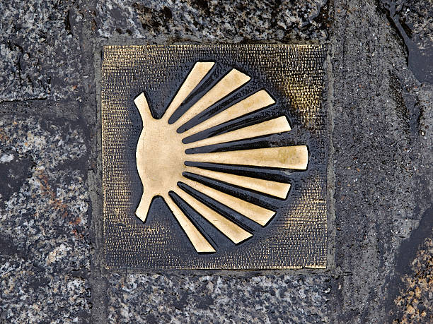 istock Pilgrim's shell in the way of Santiago de Compostela 178362740