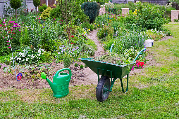 istock wheelbarrow and watering can in the garden 178363087