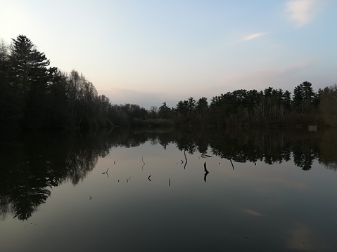 Lake within the Mandria Natural Park of Venaria Reale, Turin Italy