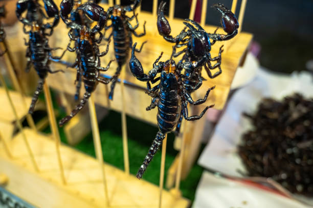 Fried scorpion, edible insect food close-up