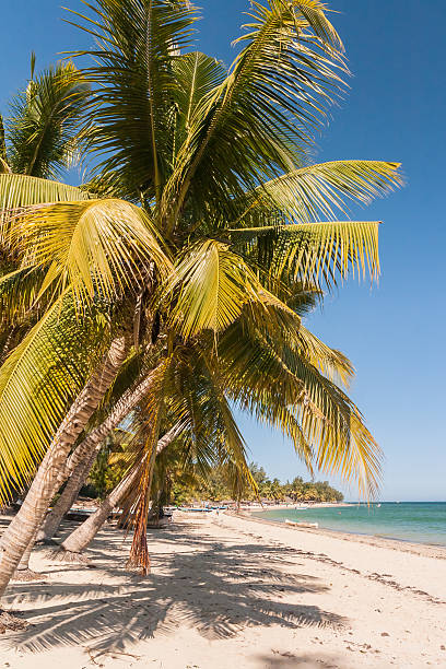 istock The beach of Ifaty 178363650
