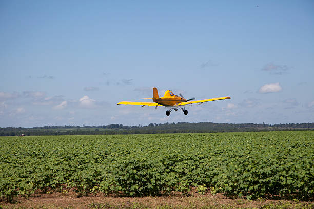 Centered Crop Dusting Plane stock photo