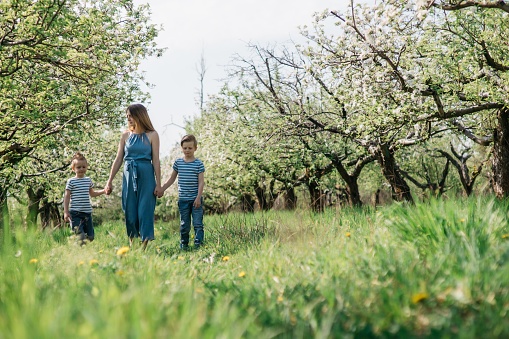 pregnant mother with two sons cheerful walk in the apple orchard on a sunny spring day