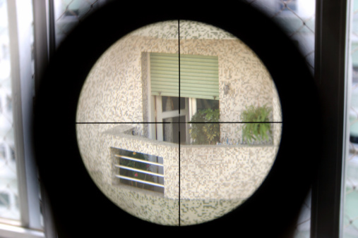 Elite shooter view