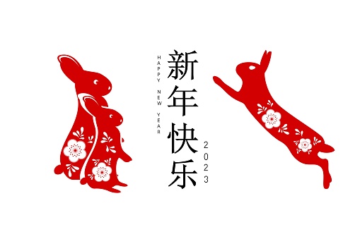 happy new year of the rabbit written in Chinese character, paper art style with elegant flowers and hanging lanterns